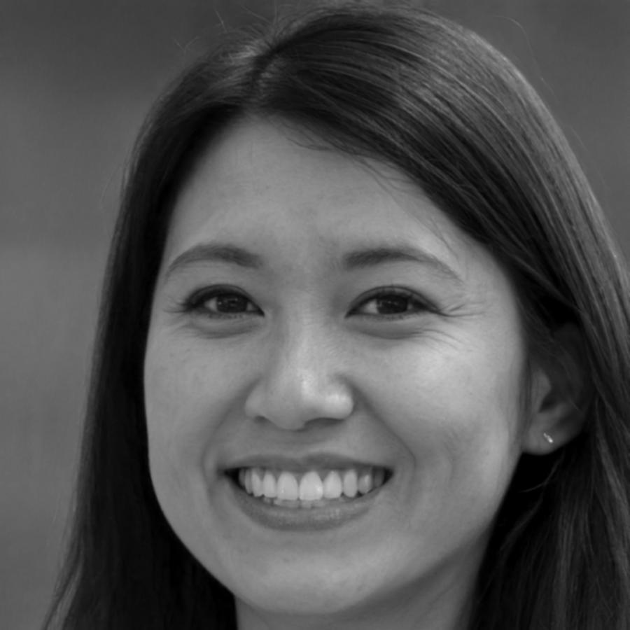 Catherine Dubois, Risk Management Expert